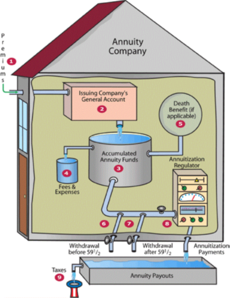 Annuity Annuity