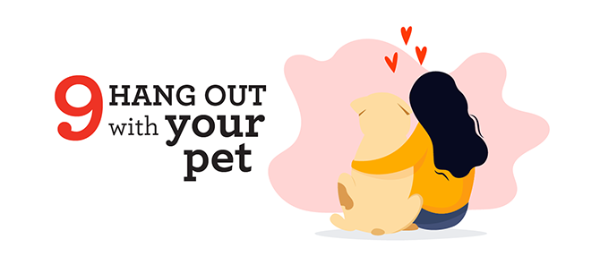 9 Hangout with Your Pet 9 Hangout with Your Pet