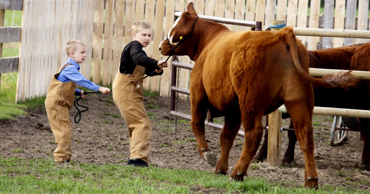 16 Signs You Grew Up on a Farm or Ranch 16 Signs You Grew Up on a Farm or Ranch thumbnail