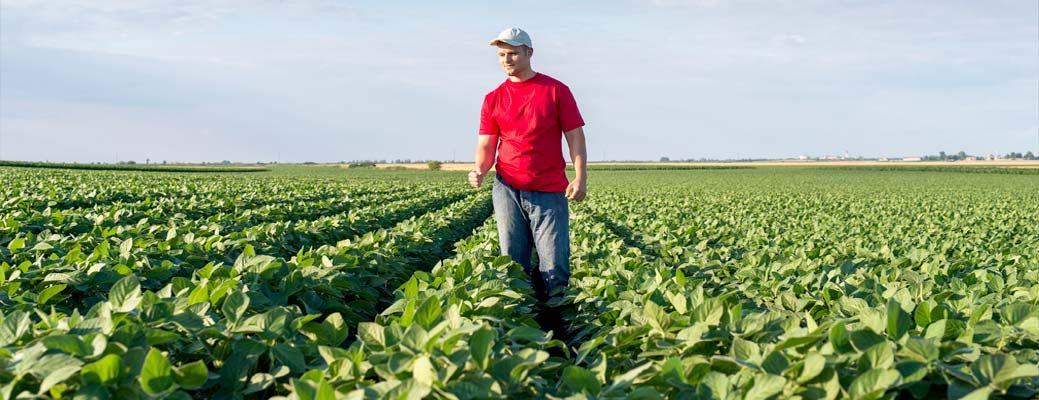5 Reasons Why Millennial Farmers Are on the Rise header image