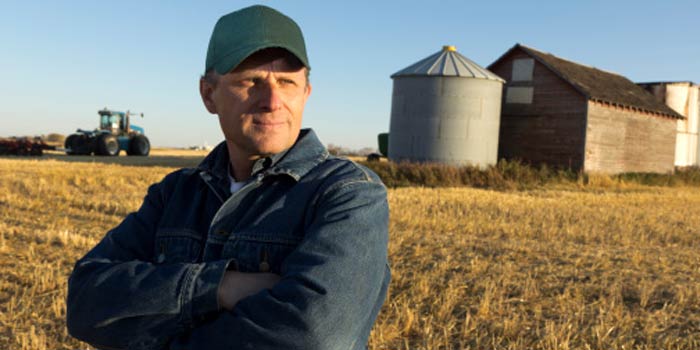 The Farm Owner’s Guide to Insurance header image