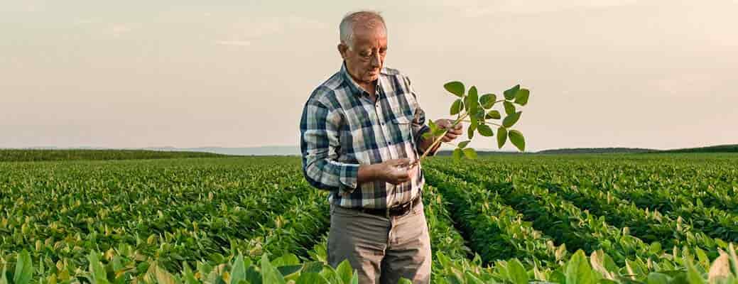 How to Improve Your Farm’s Profitability How to Improve Your Farm’s Profitability thumbnail