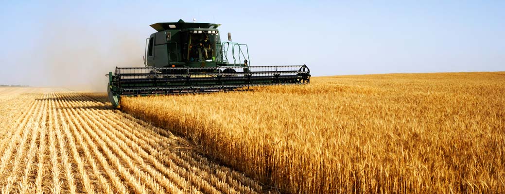  9 Tips for Keeping Yourself Healthy During Harvest Season