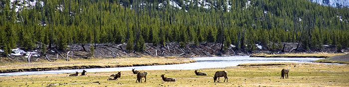 Yellowstone National Park (WY) Yellowstone National Park (WY)