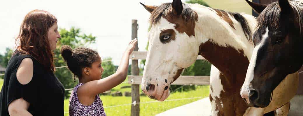 Is Starting an Agritourism Business Right for Your Farm? Is Starting an Agritourism Business Right for Your Farm? thumbnail