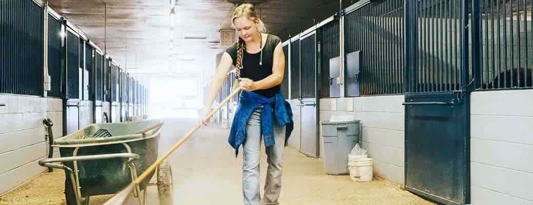 Spring Cleaning: Barns and Outbuildings