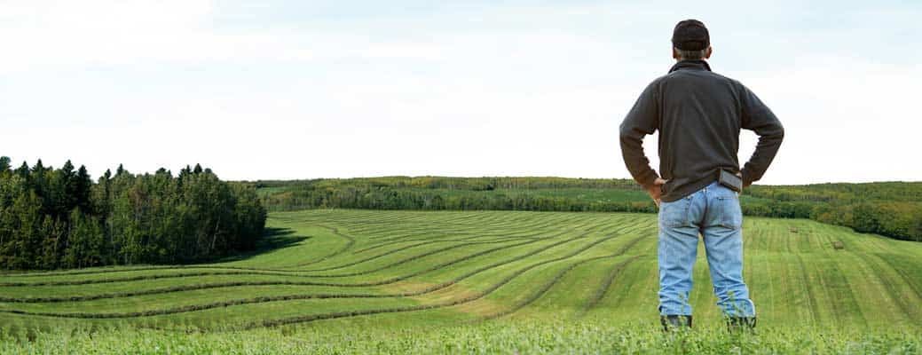 Understanding the Value of Farmland: Owning vs. Leasing Understanding the Value of Farmland: Owning vs. Leasing thumbnail